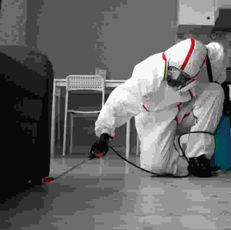 Featured Image Featured Image